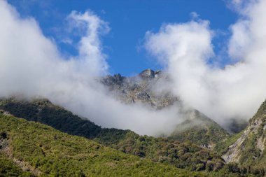 Fox Buzul Vadisi, Yeni Zelanda