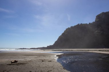 Karakere sahilinin çevresindeki uçurum manzarası, Kuzey adası
