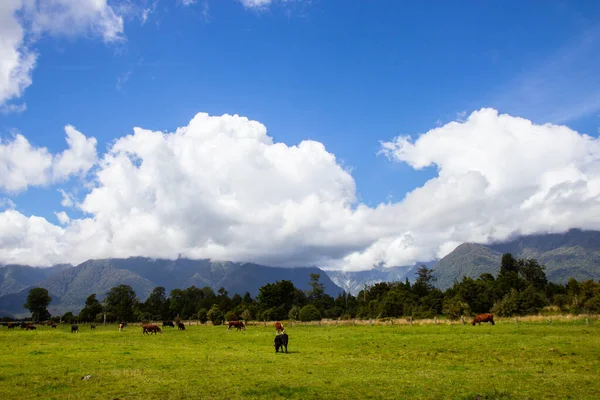 Melihat ke arah selatan alpen jangkauan, Selandia Baru — Stok Foto