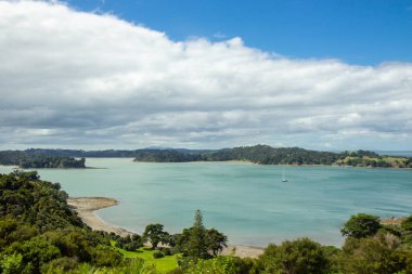 Mahurangi bölgesi parkı Auckland, Yeni Zelanda 'nın kuzeyinde.