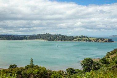 Mahurangi bölgesi parkı Auckland, Yeni Zelanda 'nın kuzeyinde.