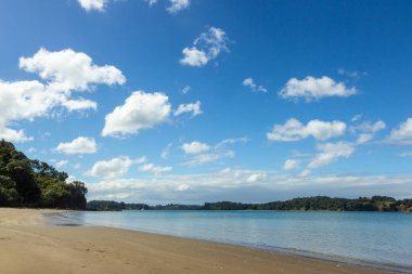 Mahurangi bölgesi parkı Auckland, Yeni Zelanda 'nın kuzeyinde.