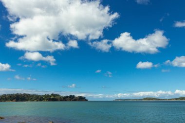 Mahurangi bölgesi parkı Auckland, Yeni Zelanda 'nın kuzeyinde.