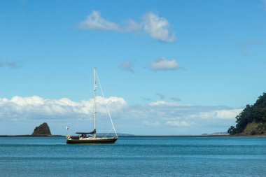 Mahurangi bölgesi parkı Auckland, Yeni Zelanda 'nın kuzeyinde.