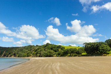 Mahurangi bölgesi parkı Auckland, Yeni Zelanda 'nın kuzeyinde.