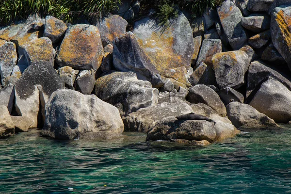 Vista del Parque Nacional Abel Tasman, Nueva Zelanda —  Fotos de Stock