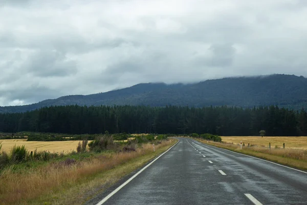ニュージーランドのトンガリロ国立公園を通る道路 — ストック写真