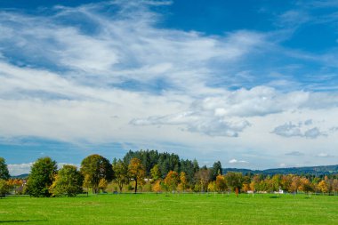 Bavyera Alpleri, Almanya