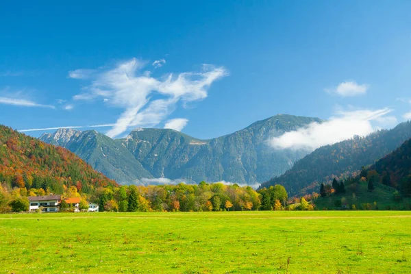 Pola i łąki Alp Bawarskich, Niemcy — Zdjęcie stockowe