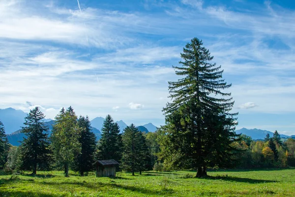 Campos y prados de los Alpes bávaros, Alemania —  Fotos de Stock