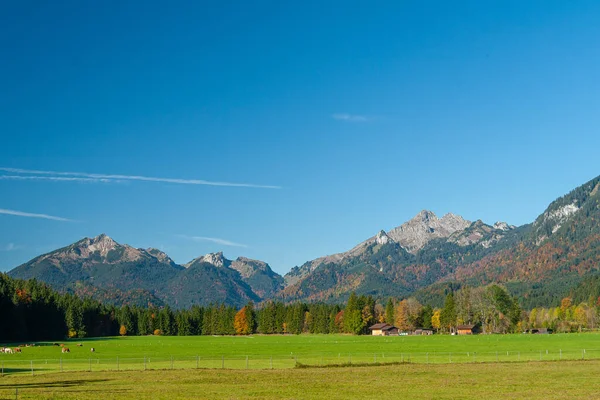 Åkrar och ängar i Bayerska Alperna, Tyskland — Stockfoto