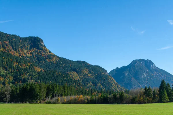 德国巴伐利亚阿尔卑斯山的田野和草地 — 图库照片