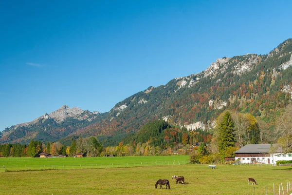 Campos y prados de los Alpes bávaros, Alemania — Foto de Stock