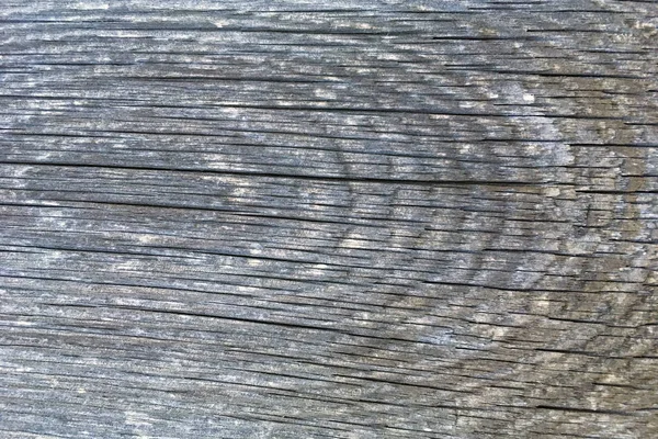 Текстура Дерева Естественным Рисунком Качестве Фона — стоковое фото