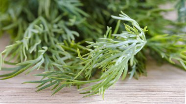 Taze yeşil dereotu bir grup. Gıda arka plan. Yakın çekim