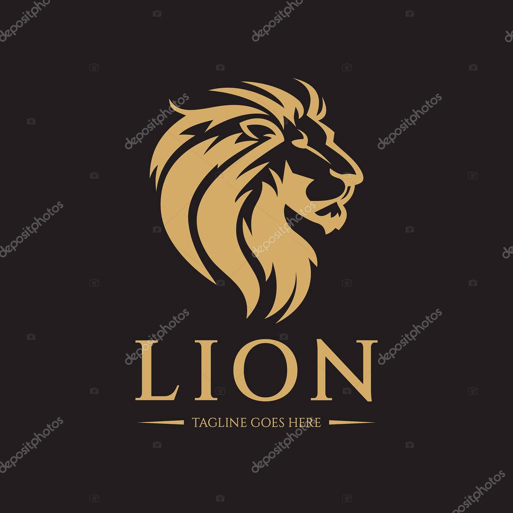 Lion logo design template. Vector illustration