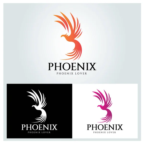 Phoenix logo tasarım şablonu. Vektör illüstrasyonu