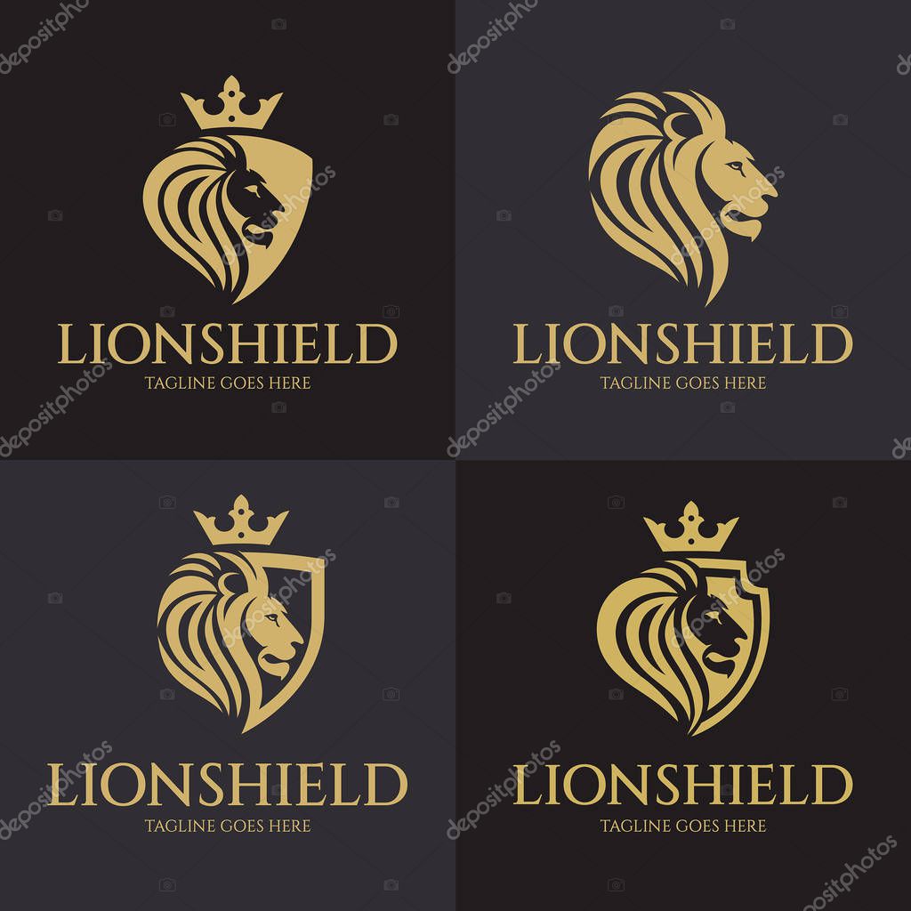 Lion shield logo design template. Vector illustration