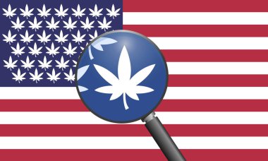 Pot yasaktır cennet. Esrar sevgilisi için bir ülke Amerika dönüşüyor