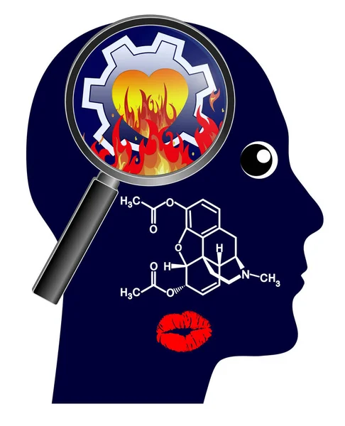 Kisses set the brain on fire. Chemicals that make people to fall in love