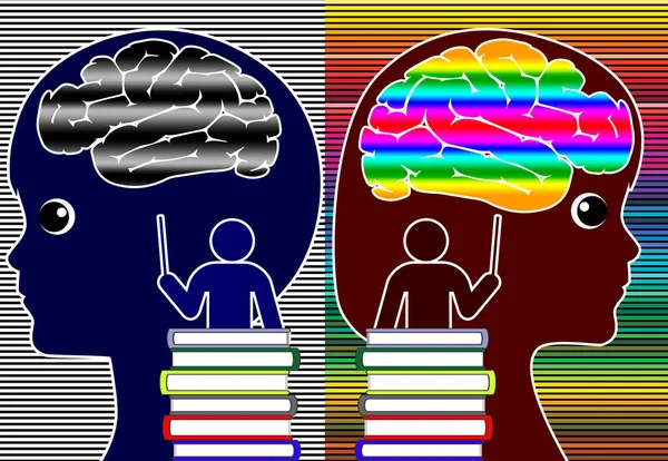 Учить Девочек Мальчиков Разному Академические Когнитивные Различия Классе Различных Менталитетов Стоковое Изображение