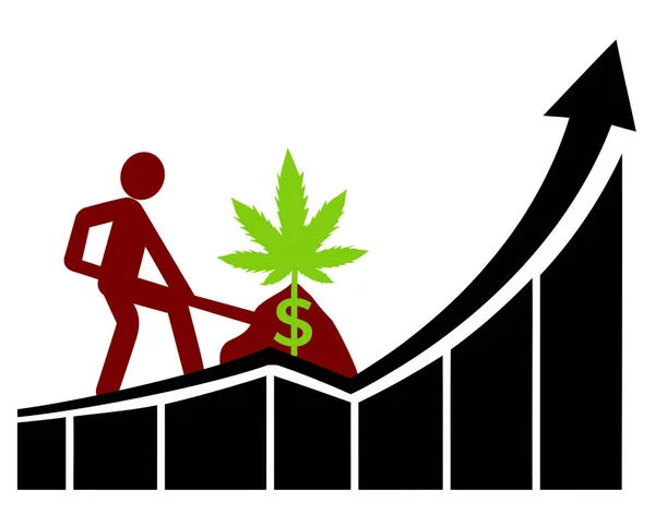 Sikeres Füvet Termesztő Üzlet Kannabiszt Telepítő Mezőgazdasági Termelők Növekvő Nyeresége — Stock Fotó