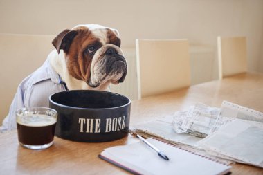 Dog Dressed As Businessman Eating From Bowl Labelled Boss clipart
