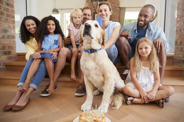 Zwei Familien Feiern Hundegeburtstag Hause — Stockfoto