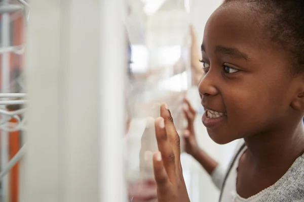 Giovane Ragazza Guardando Vicino Mostra Scientifica — Foto Stock