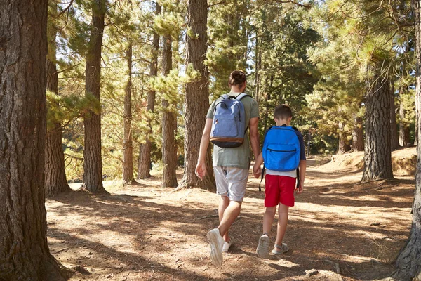 冒険の森をハイキングに父と息子の後姿 — ストック写真