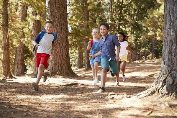 沿着森林小径奔跑的儿童徒步探险 — 图库照片