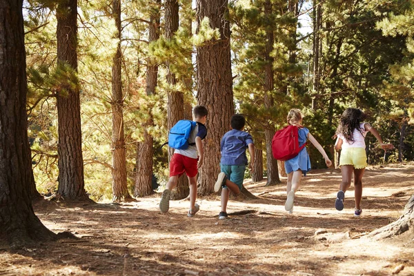 Niños Corriendo Largo Del Sendero Forestal Aventura Senderismo —  Fotos de Stock