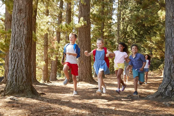 Kinderen Lopen Vooruit Van Ouders Familie Wandelen Avontuur — Stockfoto