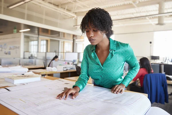 Preto Arquiteto Feminino Estudando Planos Plano Aberto Escritório — Fotografia de Stock