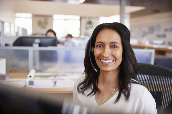 Junge Mischlingshündin Callcenter Blickt Die Kamera — Stockfoto