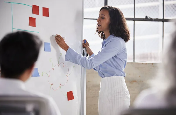 Gemengd Ras Zakenvrouw Met Whiteboard Tijdens Presentatie — Stockfoto