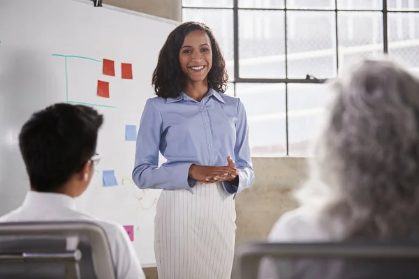 Mixed Race Businesswoman Giving Presentation Meeting — Stock Photo, Image
