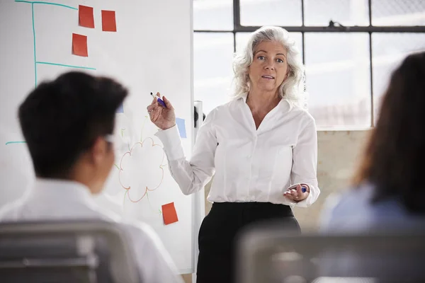 Mujer Negocios Senior Usando Pizarra Blanca Reunión — Foto de Stock