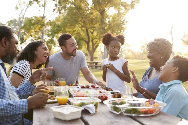 Çoklu Nesil Aile Birlikte Parkta Piknik Keyfi — Stok fotoğraf