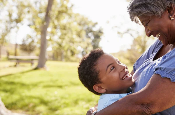 Nieto Abrazando Abuela Parque Enfoque Selectivo — Foto de Stock