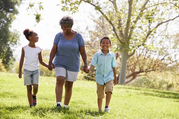 Abuela Caminando Parque Sosteniendo Las Manos Con Nietos —  Fotos de Stock