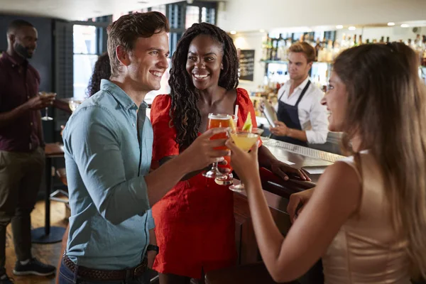 Group Friends Standing Bar Making Toast Night Out — Stock Photo, Image