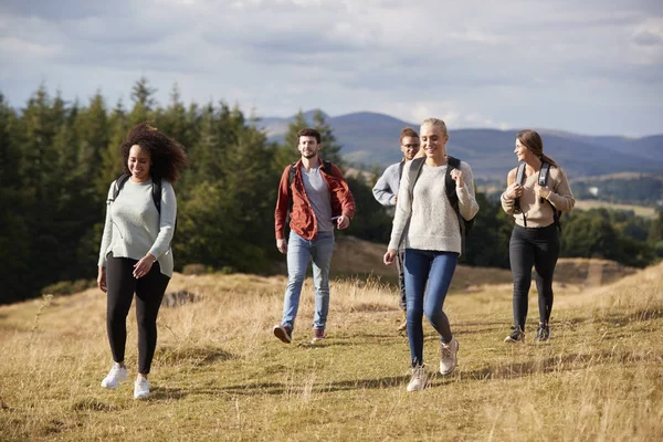 Grupo Multiétnico Cinco Felices Amigos Adultos Jóvenes Caminando Por Sendero — Foto de Stock