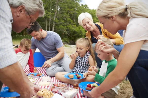 Familia Multi Generación Disfrutando Picnic Campo — Foto de Stock