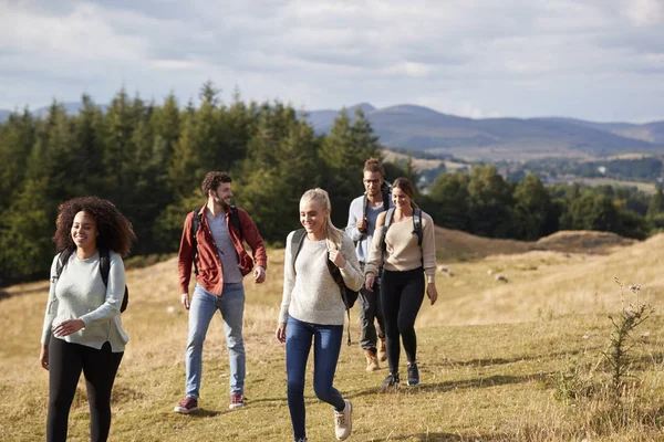 Multietnisk Grupp Fem Glada Unga Vuxna Vänner Prata Och Lantlig — Stockfoto