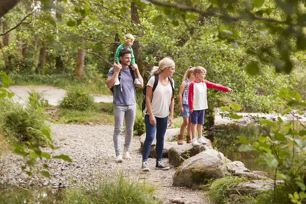 Familie Wandelen Langs Het Pad Door Rivier Lake District — Stockfoto