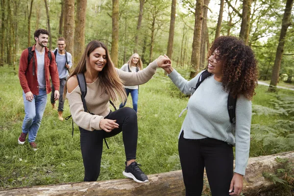 Young Woman Helping Girlfriend Stepping Fallen Tree Hike Friends Forest — Stock Photo, Image
