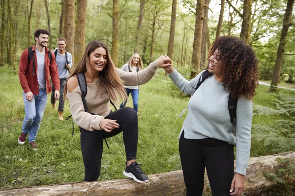 Jonge Vrouw Helpen Vriendin Intensivering Een Omgevallen Boom Tijdens Een — Stockfoto