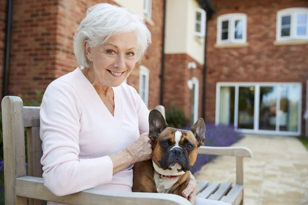 Retrato Mulher Sênior Sentado Banco Com Animal Estimação Bulldog Francês — Fotografia de Stock