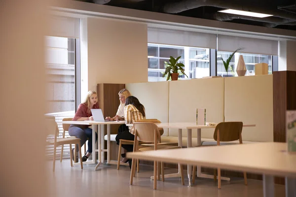 Grupo Jóvenes Empresarias Sentadas Alrededor Mesa Colaborando Tarea Usando Ordenador —  Fotos de Stock